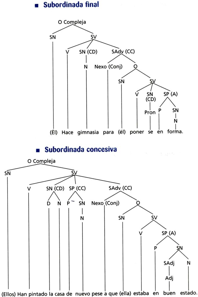 Baumdiagramm Diagrama Arb Reo